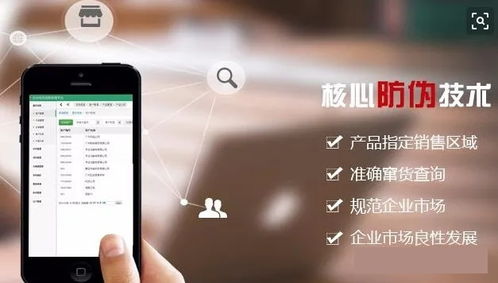 廈門二維碼防偽標(biāo)簽的軟件設(shè)計(jì)與制作 技術(shù)創(chuàng)新與市場(chǎng)應(yīng)用